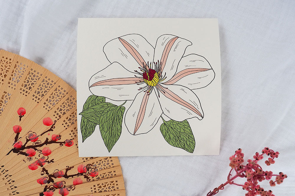 Clematis Art Print