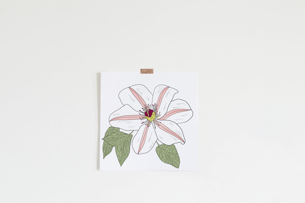 Clematis Art Print
