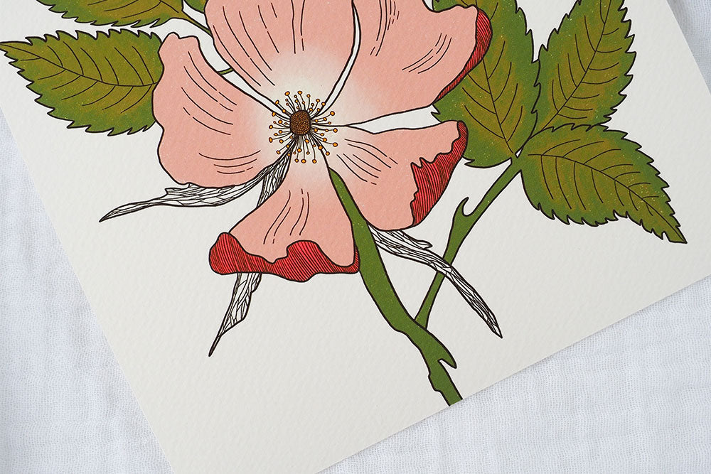 Wild Dog Rose Art Print