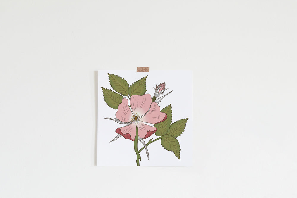 Wild Dog Rose Art Print